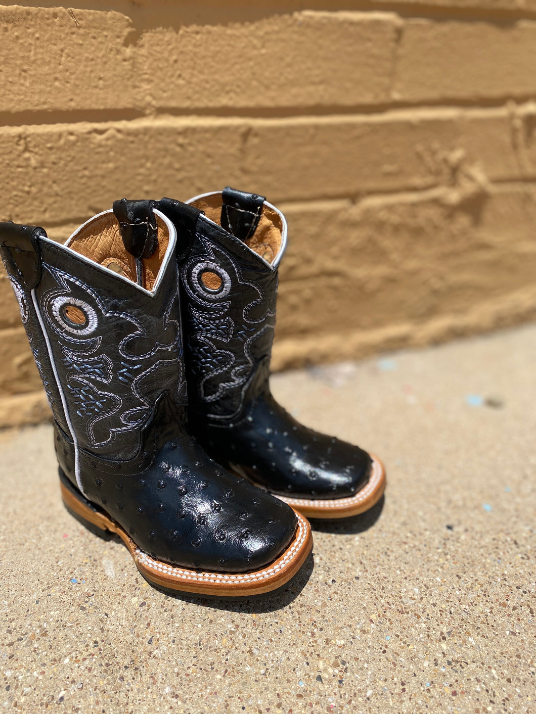 #58 Avestruz Negro Denver Boys Square Toe Boots